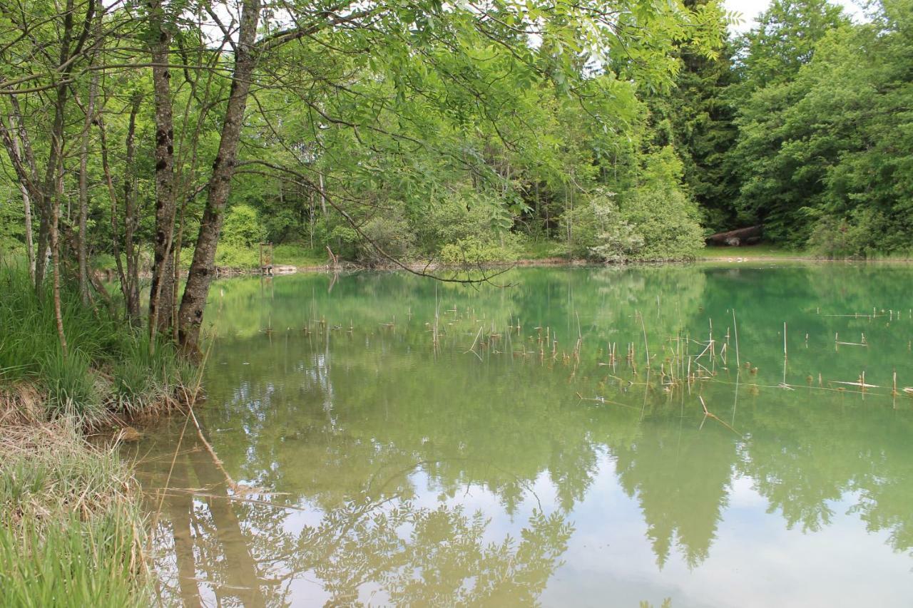 Goute La Vie Bed & Breakfast Marchamp